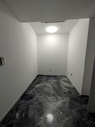 One Bernam (D2), Apartment #584427611